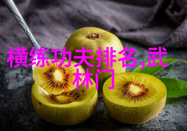 门派拳种龙门武学