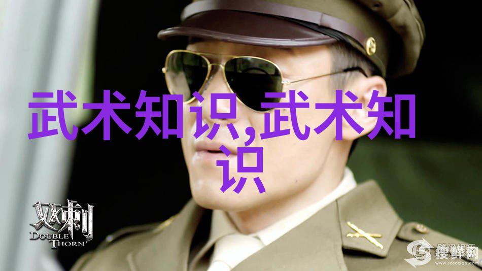 武术是完善自我的技术-雷生霖