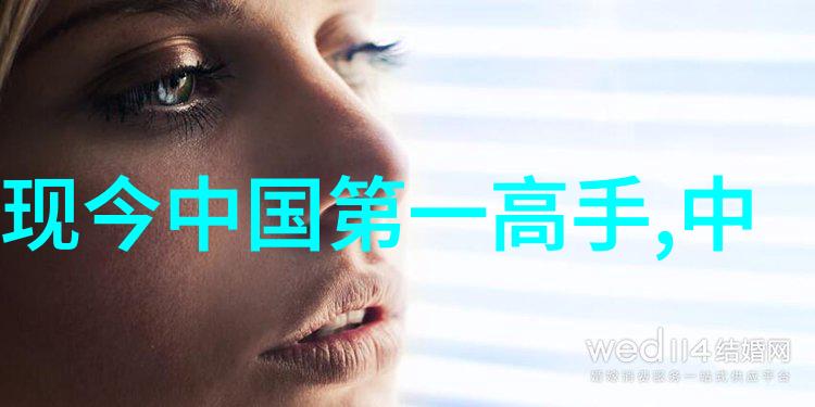 门派拳种藏拳