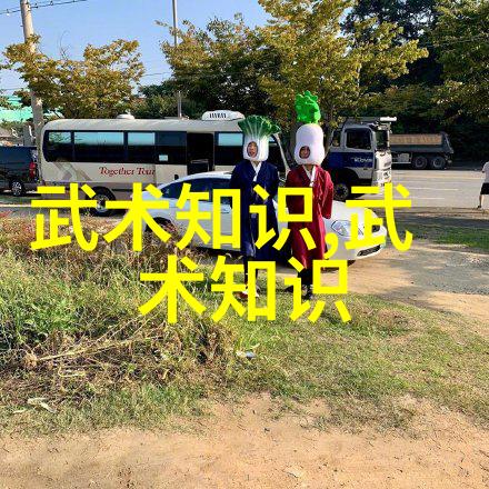 简说习练武术套路中的呼吸方法-张秉山