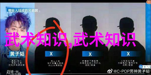 网络传播学视野下的中华武术发展观-黄俊儒