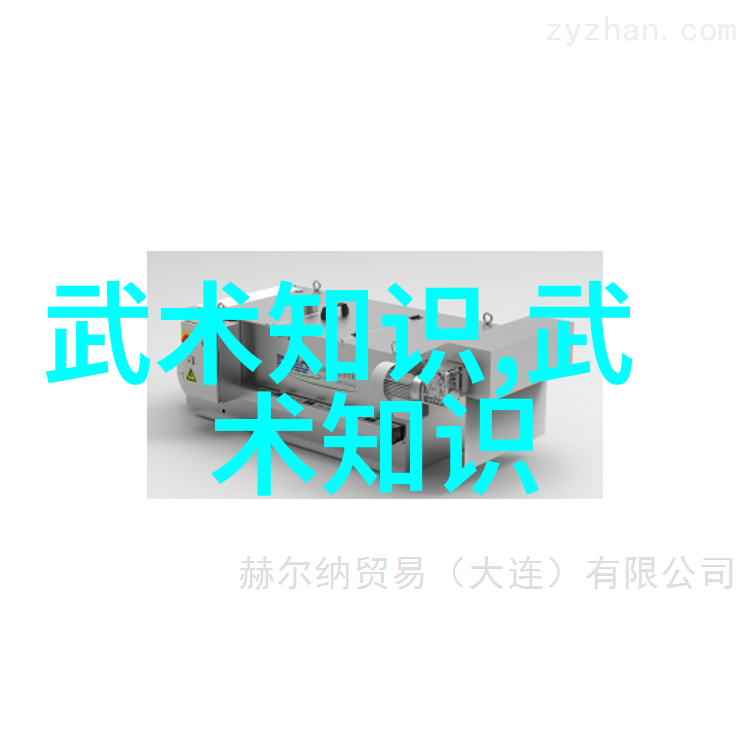 武术本质的哲学思辨-谭捷 蒲毕文