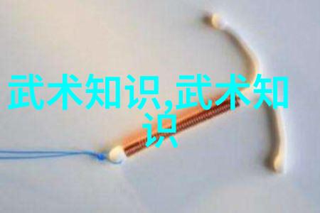 盘破门武术发展中存在的几个问题-向永林