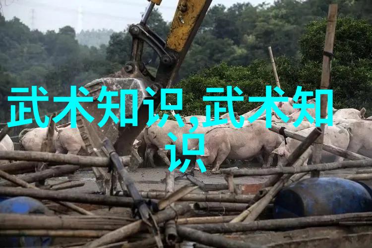 浅析中西方纪录片视角下的武术传播-傅智 张晶